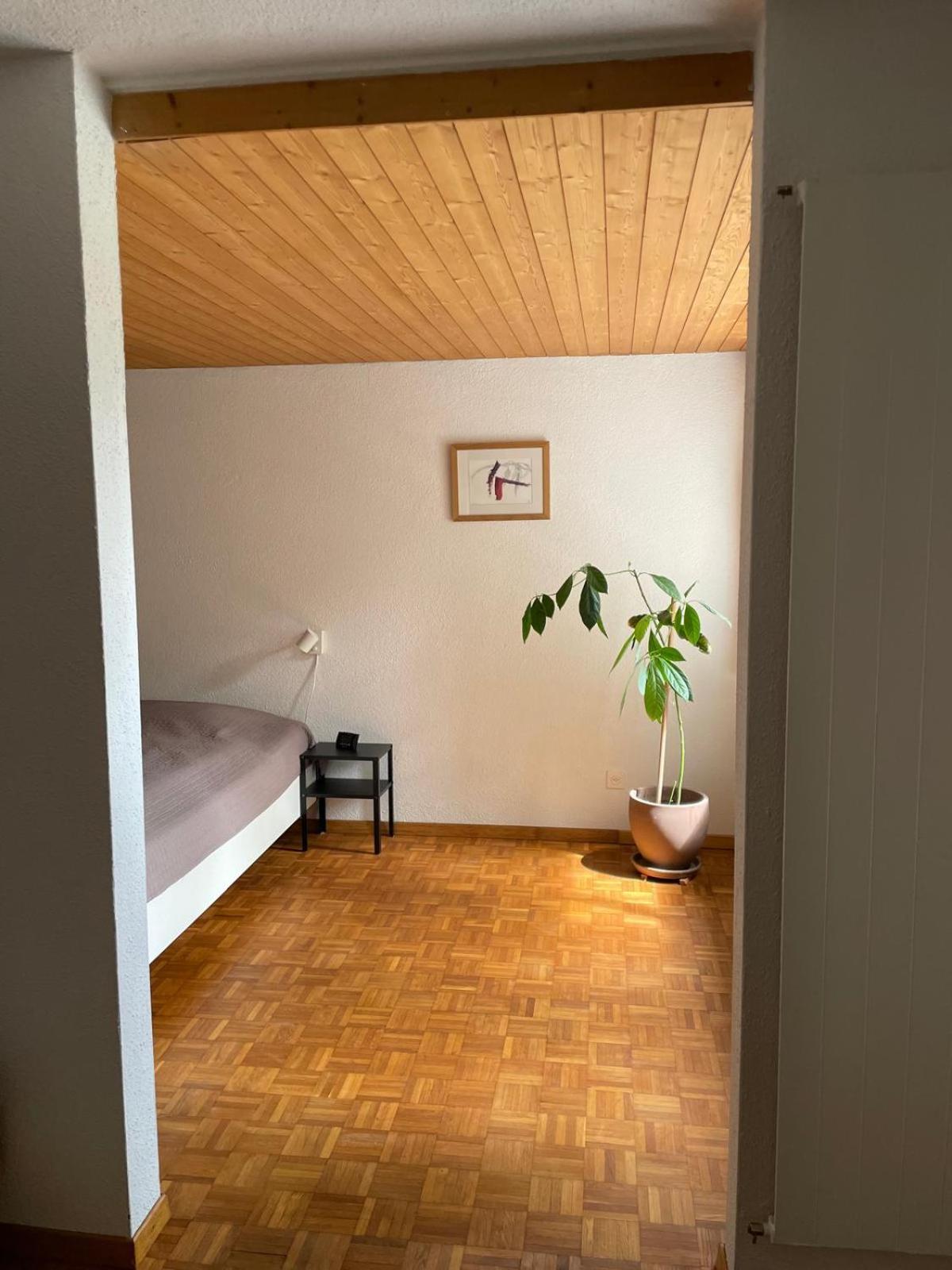 2.5 Zimmerwohnung, Pinut Trin エクステリア 写真